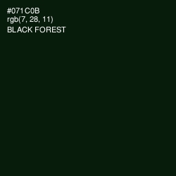 #071C0B - Black Forest Color Image